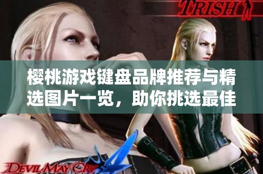樱桃游戏键盘品牌推荐与精选图片一览，助你挑选最佳游戏装备