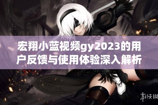 宏翔小蓝视频gy2023的用户反馈与使用体验深入解析