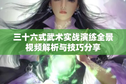 三十六式武术实战演练全景视频解析与技巧分享