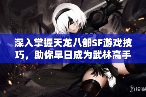深入掌握天龙八部SF游戏技巧，助你早日成为武林高手！