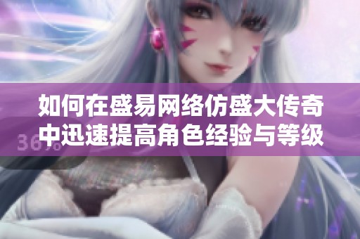 如何在盛易网络仿盛大传奇中迅速提高角色经验与等级技巧解析