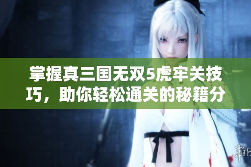 掌握真三国无双5虎牢关技巧，助你轻松通关的秘籍分享