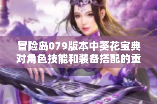 冒险岛079版本中葵花宝典对角色技能和装备搭配的重要影响分析