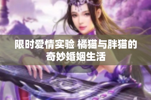 限时爱情实验 橘猫与胖猫的奇妙婚姻生活