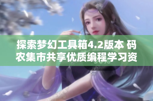 探索梦幻工具箱4.2版本 码农集市共享优质编程学习资源