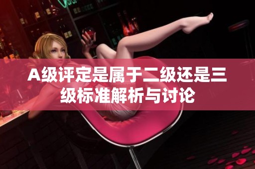A级评定是属于二级还是三级标准解析与讨论
