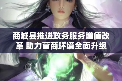 商城县推进政务服务增值改革 助力营商环境全面升级