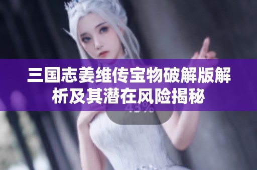 三国志姜维传宝物破解版解析及其潜在风险揭秘