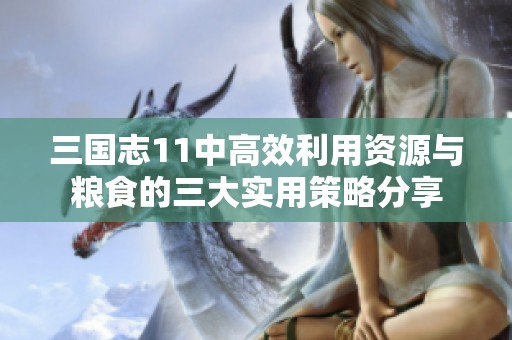 三国志11中高效利用资源与粮食的三大实用策略分享