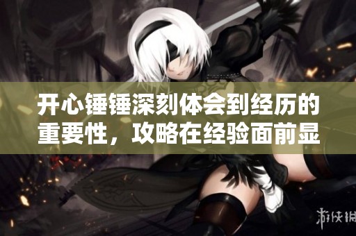 开心锤锤深刻体会到经历的重要性，攻略在经验面前显得苍白无力