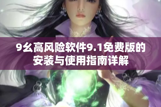 9幺高风险软件9.1免费版的安装与使用指南详解