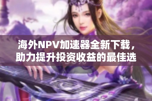 海外NPV加速器全新下载，助力提升投资收益的最佳选择