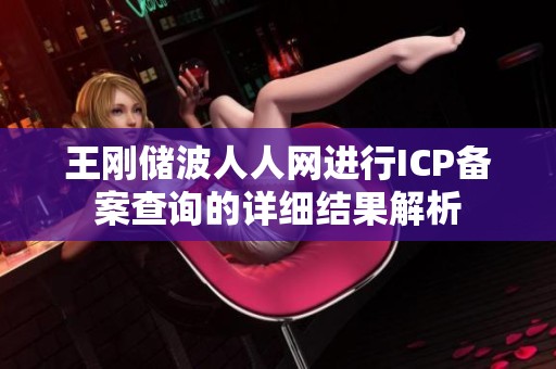 王刚储波人人网进行ICP备案查询的详细结果解析