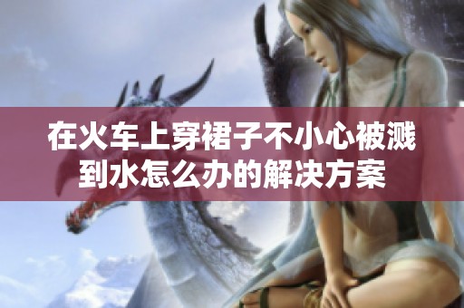 在火车上穿裙子不小心被溅到水怎么办的解决方案