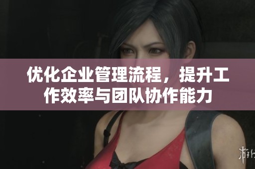 优化企业管理流程，提升工作效率与团队协作能力