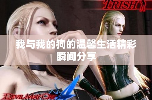 我与我的狗的温馨生活精彩瞬间分享