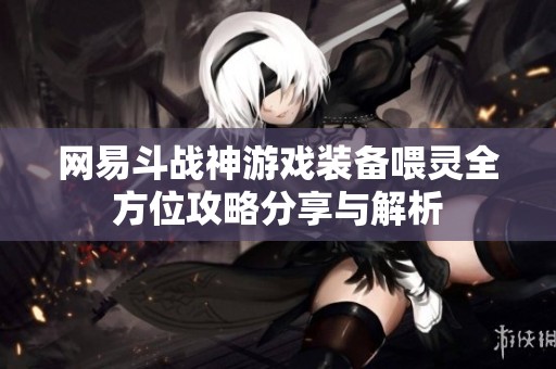 网易斗战神游戏装备喂灵全方位攻略分享与解析
