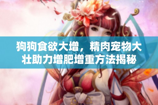 狗狗食欲大增，精肉宠物大壮助力增肥增重方法揭秘