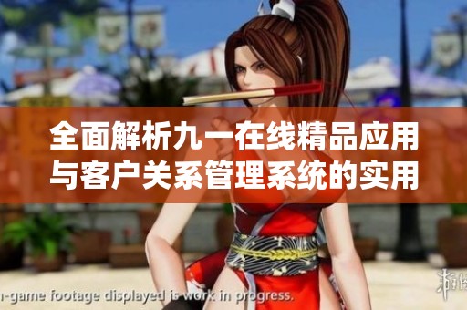 全面解析九一在线精品应用与客户关系管理系统的实用价值