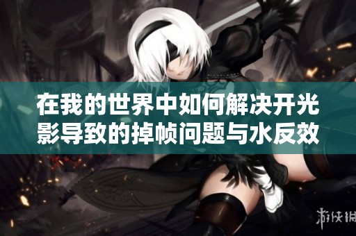 在我的世界中如何解决开光影导致的掉帧问题与水反效果解析