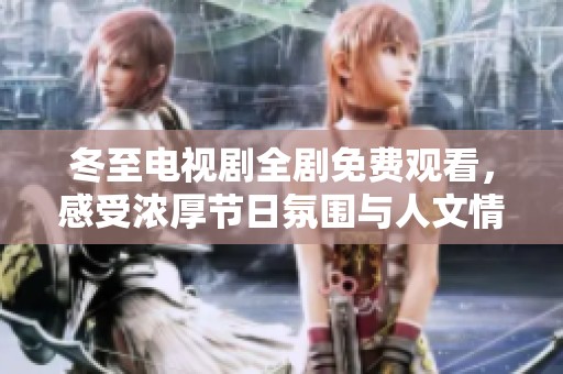 冬至电视剧全剧免费观看，感受浓厚节日氛围与人文情怀