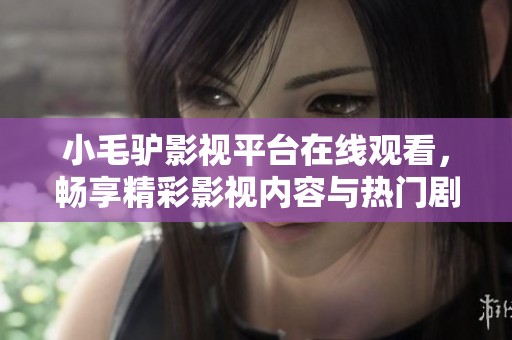 小毛驴影视平台在线观看，畅享精彩影视内容与热门剧集