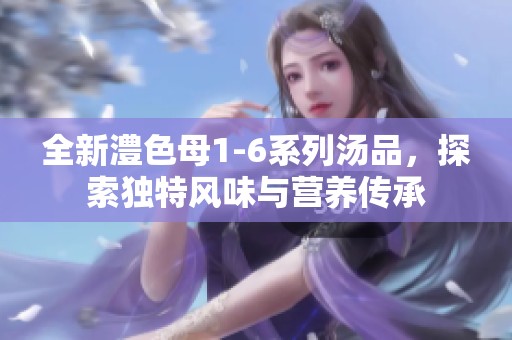 全新澧色母1-6系列汤品，探索独特风味与营养传承