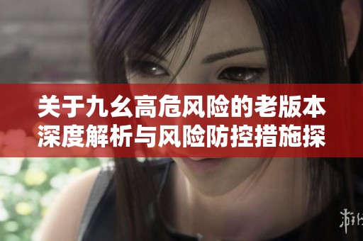 关于九幺高危风险的老版本深度解析与风险防控措施探讨