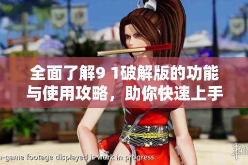 全面了解9 1破解版的功能与使用攻略，助你快速上手