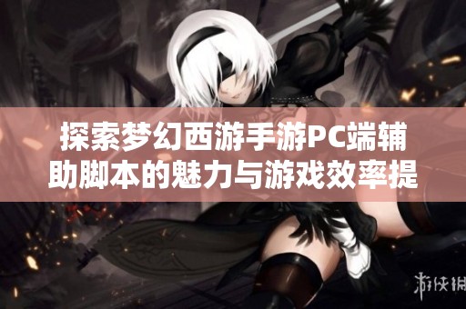 探索梦幻西游手游PC端辅助脚本的魅力与游戏效率提升方法