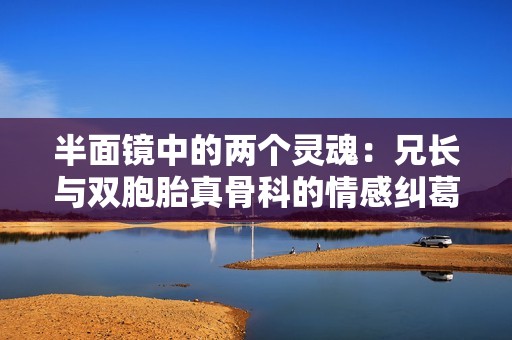 半面镜中的两个灵魂：兄长与双胞胎真骨科的情感纠葛