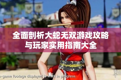 全面剖析大蛇无双游戏攻略与玩家实用指南大全