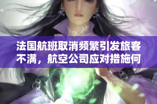 法国航班取消频繁引发旅客不满，航空公司应对措施何在