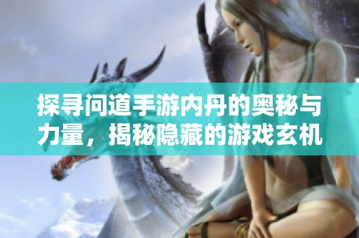 探寻问道手游内丹的奥秘与力量，揭秘隐藏的游戏玄机与策略